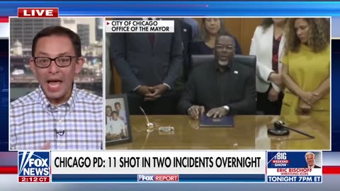 'ABSOLUTELY ASININE': Chicago alderman rips Dem colleagues for resisting help on crime
