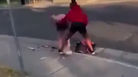 CRT in action! Young Negress & Negro Brutally Assault 2 White Girls & the Negro Parents Laugh & Film