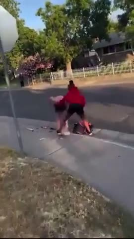 CRT in action! Young Negress & Negro Brutally Assault 2 White Girls & the Negro Parents Laugh & Film