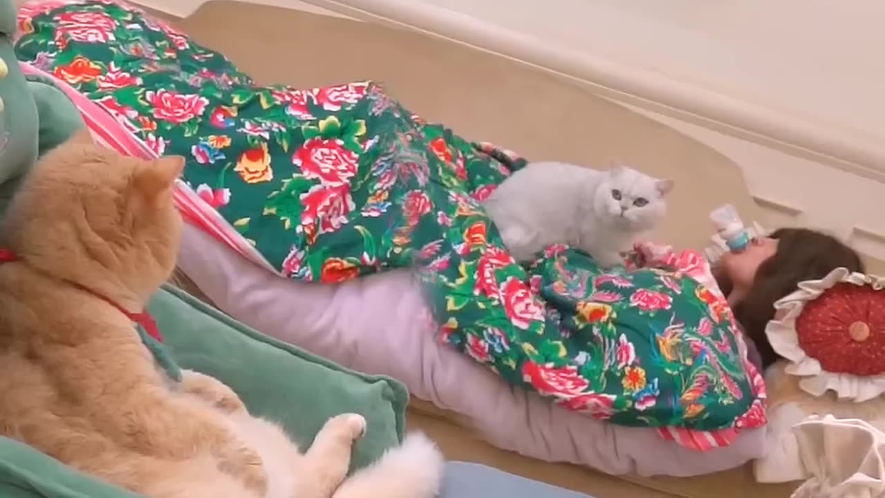 Cute cute cats homemade milk buns, want to eat a bite.