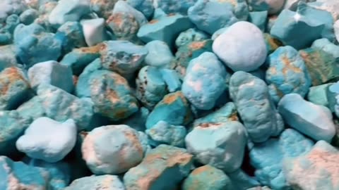 20250702-3 Sleeping Beauty Turquoise & Orange Spiny Oyster Necklace: Ocean