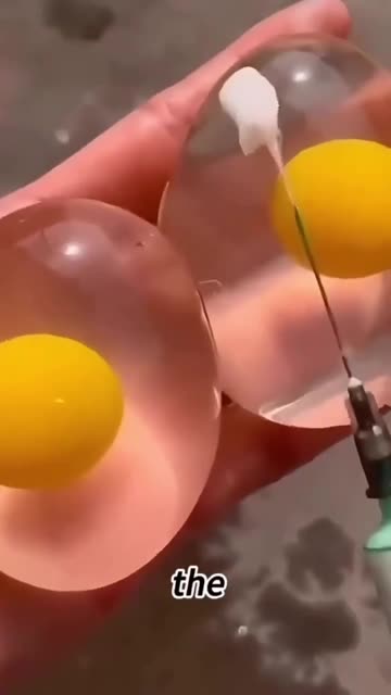 Awareness-The egg you’ve eating might not even come from a chicken-