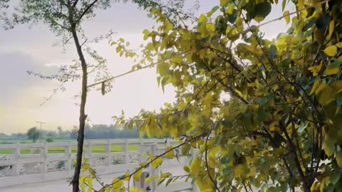 Rural Retreats The Most Beautiful Village to Visit ❣ #maxrecords #vlog #trending