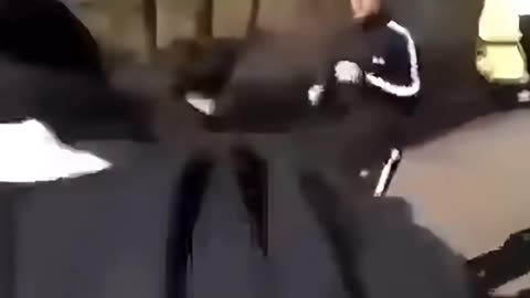 The Gin-ja Ninja