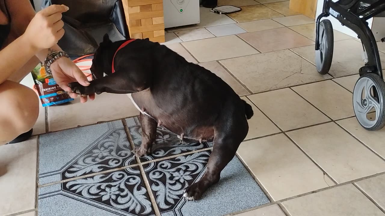 More little Oreo