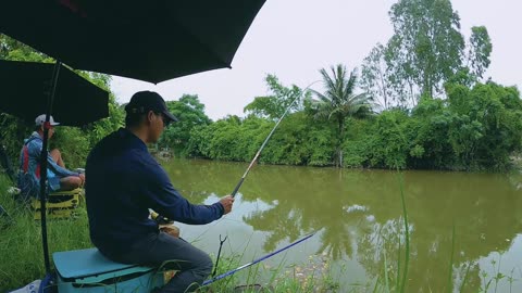 Crappie Spin Fishing in Lake Timber Zones