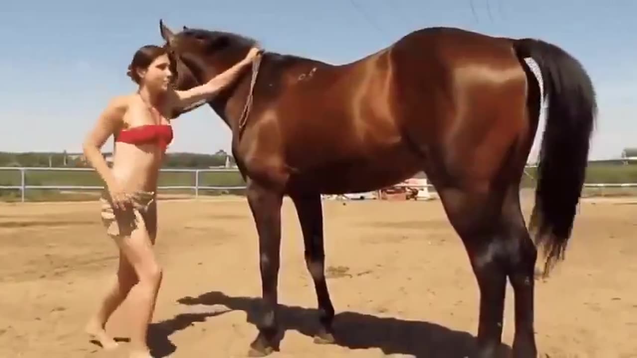 Horse helps girl who is struggling to get on