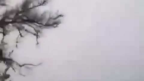 🚦🇷🇺 Ukraine Russia War | Russian Infantry Entering Pokrovsk in Vehicle | RCF