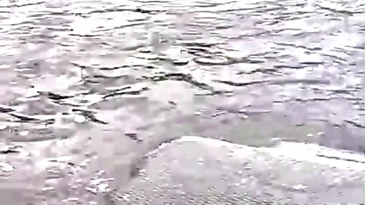 Murky Waters, Massive Fish Surprise!