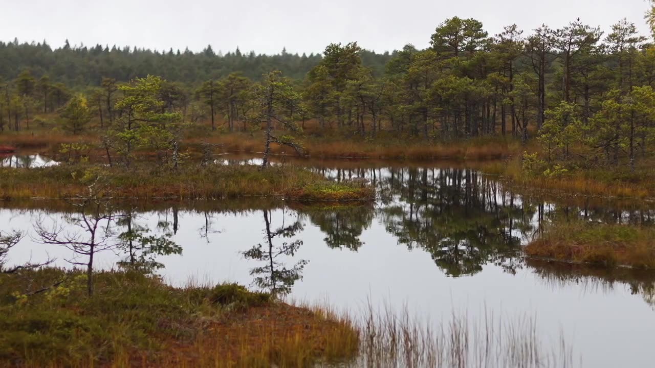 06-Coal Convenient, Energy-Dense Fuel - TTC Video The Science of Energy