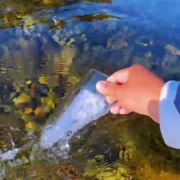 I phone camera test in glass under water