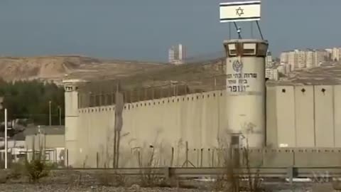 "Stone Cold Justice" (2014) - Child Torture in Israel