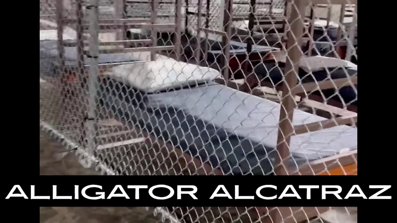 ALLIGATOR ALCATRAZ LOOKS GOOD