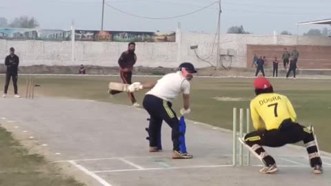 Cricket