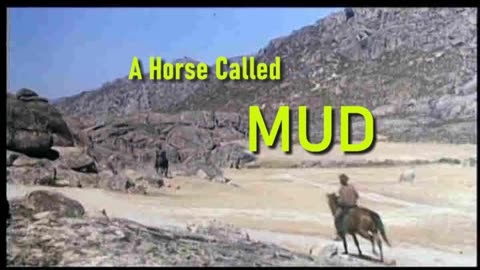 A Horse Called Mud