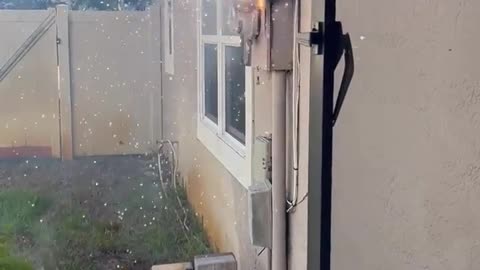 🎇😂 What Happens When You Mix Fireworks and [insert unexpected twist here]? | FunFM