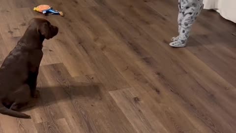 Kiddo training her puppy