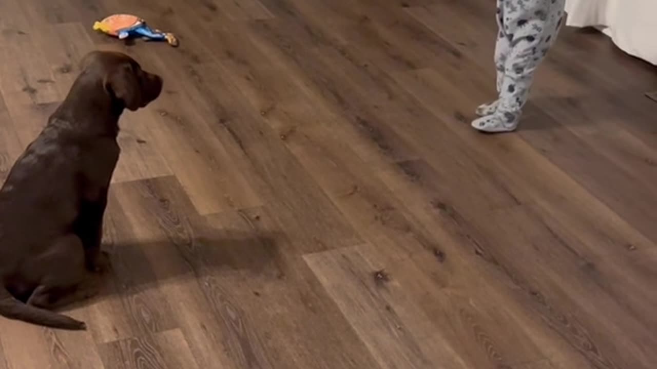 Kiddo training her puppy