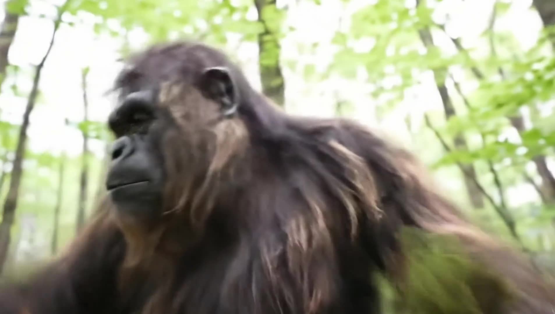 Bigfoot VLOG - Meet my ALIEN friend ZORP