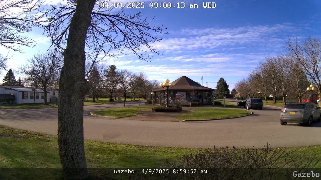 4/9/25