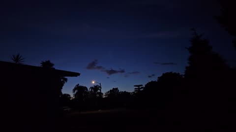 Dragon of Twilight