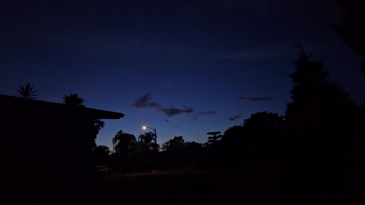 Dragon of Twilight