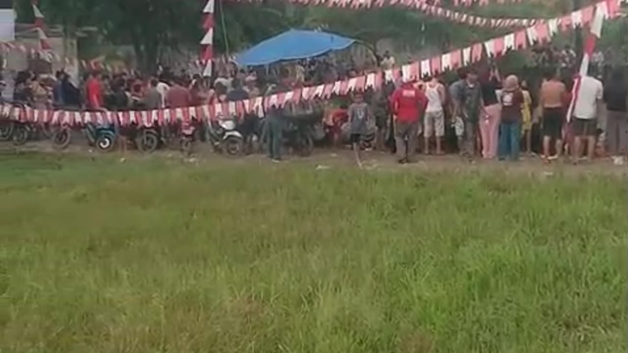 The sport of climbing the pinang tree