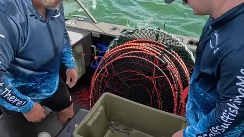 CATCHING Crabs and Fishing How hard can it be-_part8