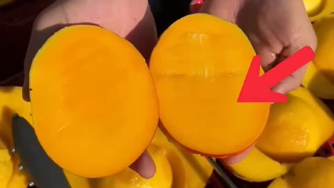 The Truth About Seedless Mangoes 🥭