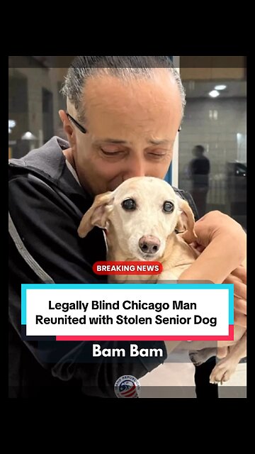 Legally Blind Chicago Man Reunited with Stolen Senior Dog Bam Bam