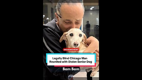 Legally Blind Chicago Man Reunited with Stolen Senior Dog Bam Bam