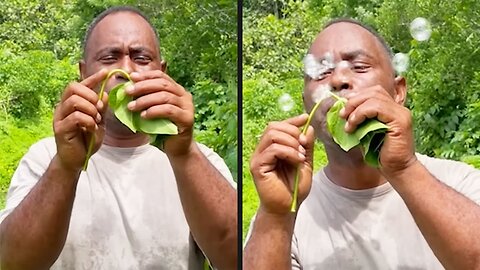 This Leaf Blows Bubbles