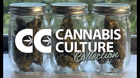 Cannabis Culture Collection and FAIR Cannabis Launch