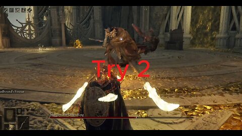 Elden Ring gameplay part 22