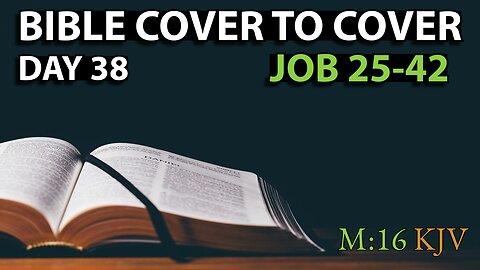 Day 38 | Job 25-42 | Bible Cover to Cover