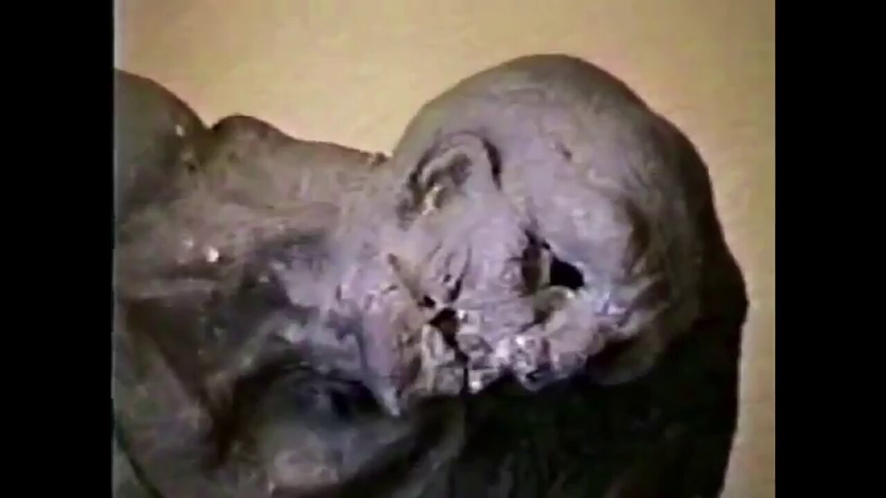 What don’t they show on the Auschwitz tour?