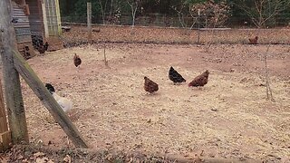 The end of an era. And his line goes on.