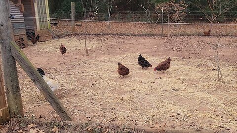 The end of an era. And his line goes on.