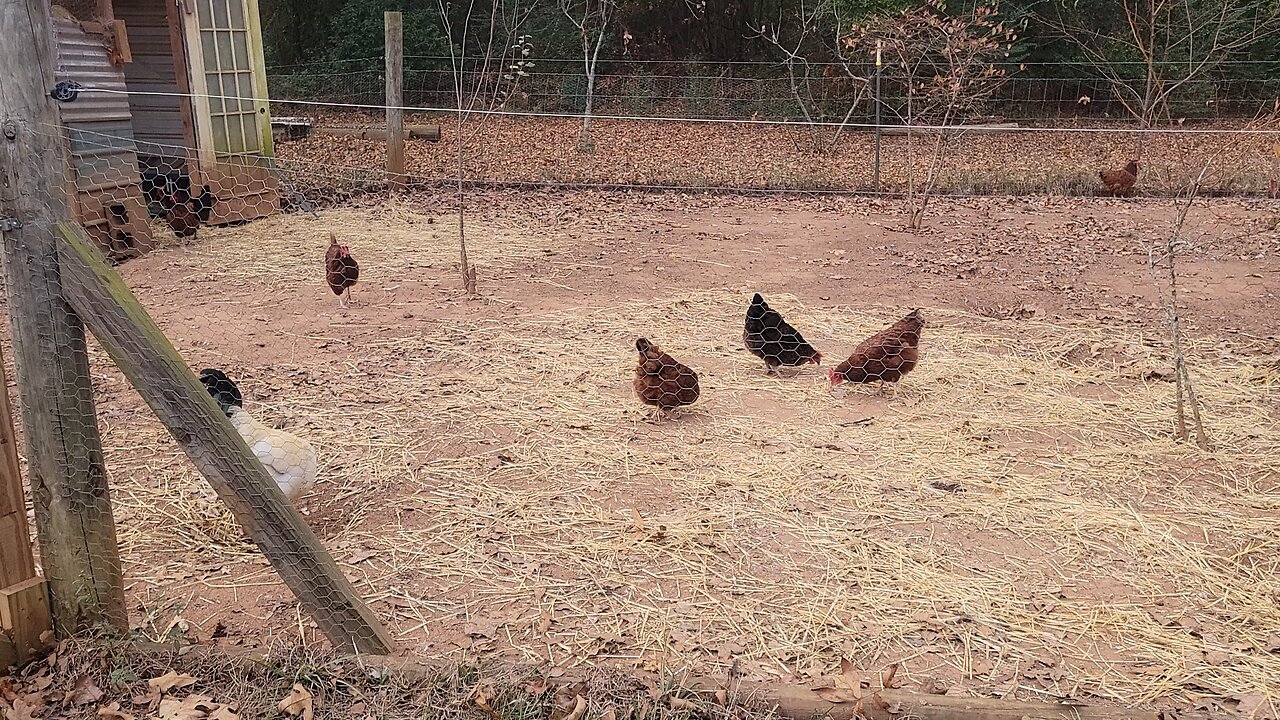 The end of an era. And his line goes on.