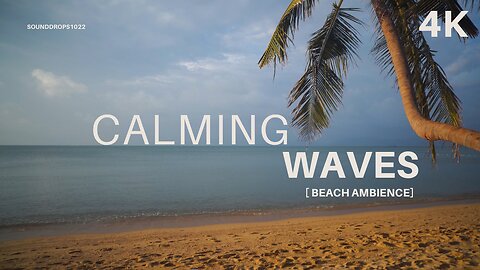 Tranquil Beach Ambience – 30 Minutes of Coastal Relaxation