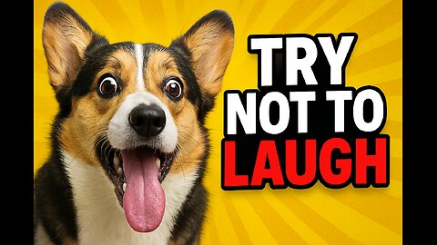 Adorable & Hilarious Animal Moments – Fun for All Ages!