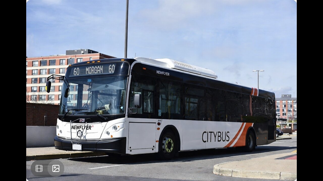 New Flyer 60 MorGan 60 Citybus Grok Ai