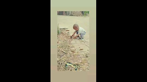 लवली विडिओ