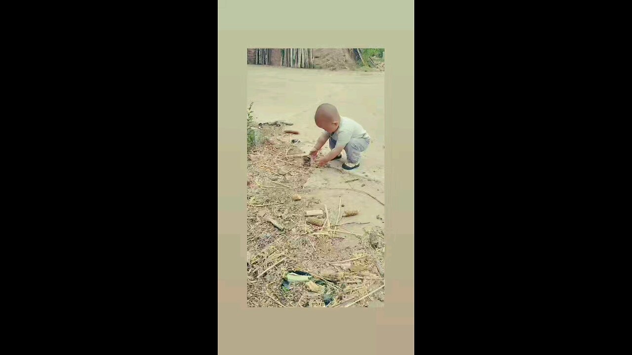 लवली विडिओ