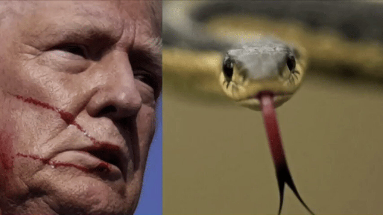 donald trump says the enemy is God