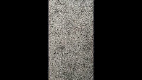 Test 1