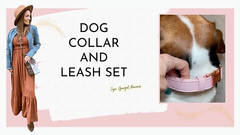 Dog collar and leash set review