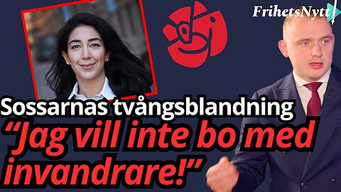 Lawen Redar ljugeri TV! "Har redan tvångsblandat svenskar & invandrare"