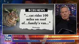 Greg Gutfeld 10/24/25 | FOX BREAKING NEWS Oct 24, 2025