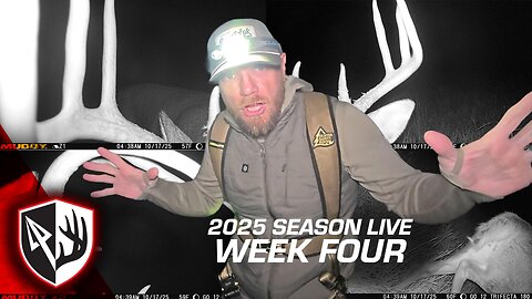 Deer Hunting Reality Check — October Edition